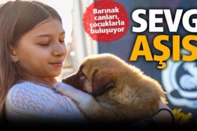 Çocuklara hayvan sevgisi aşılanıyor