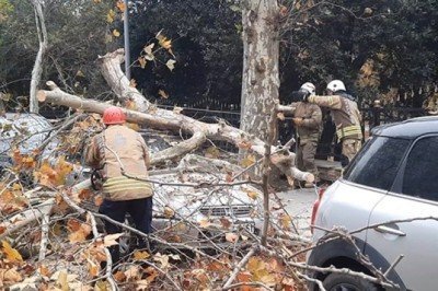 Şiddetli rüzgarla devrilen ağaç, otomobilin üzerine düştü