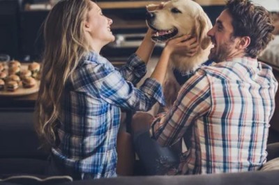 Köpeklerde Kıskançlık: Köpekler Neden Kıskanır?