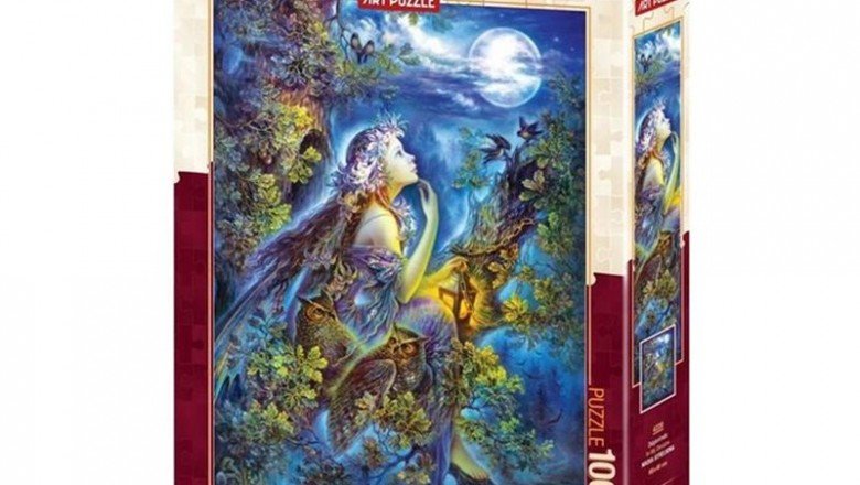 4220 Art Puzzle Düşlerimde 1000 Parça Puzzle