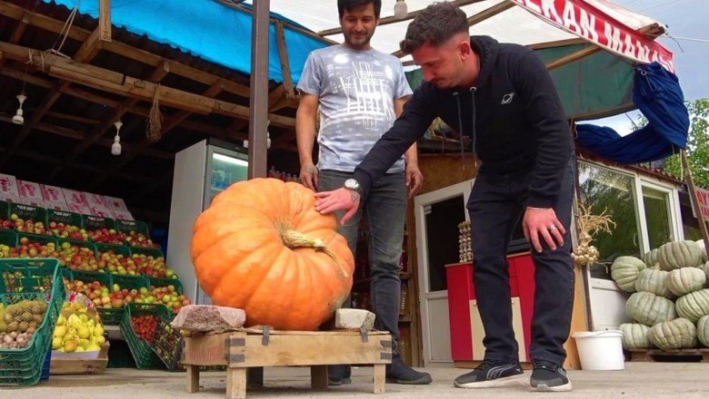 Amasya’da 30 kiloluk bal kabağı