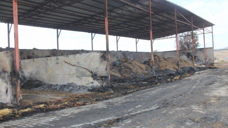 Amasya’da besi çiftliğinde çıkan yangında 200 ton saman ve 25 ton yem zarar gördü