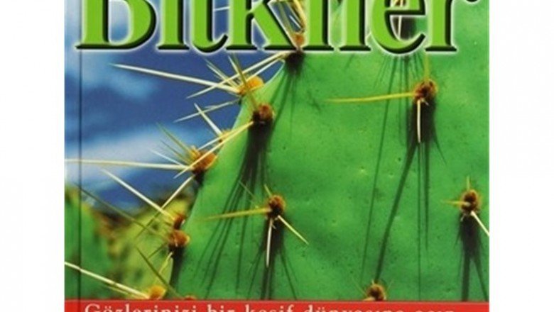 Bitkiler