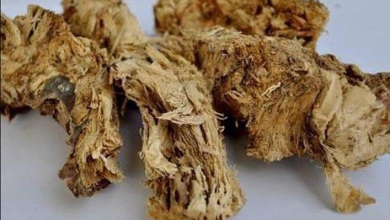 Çakşır Kökü Ve Otunun Faydaları Nelerdir? Çakşır Kökü Ne İşe Yarar?