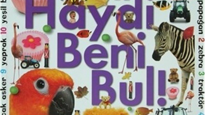 Haydi Beni Bul