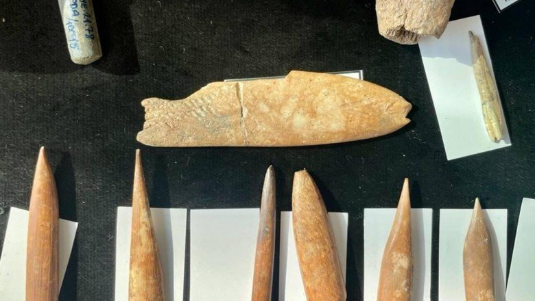 İzmir’deki kazılarda aslan ve panter kemikleri bulundu