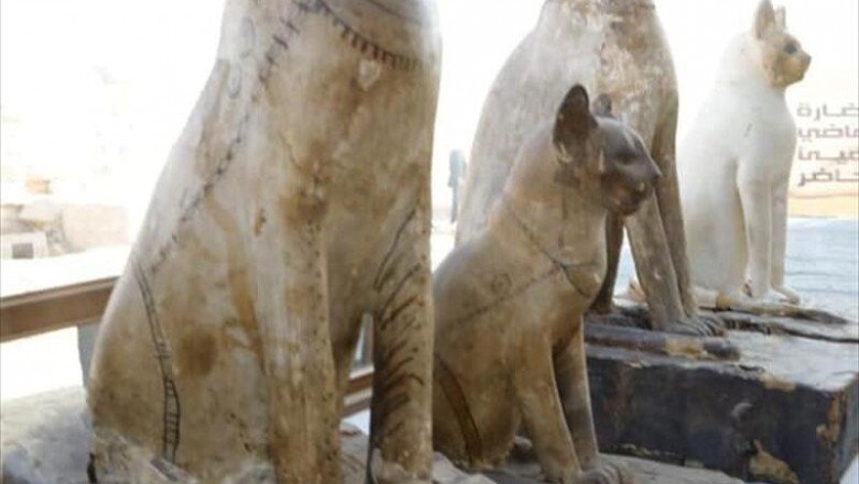 Mısır'da kedi heykelleri ve mumyaları bulundu