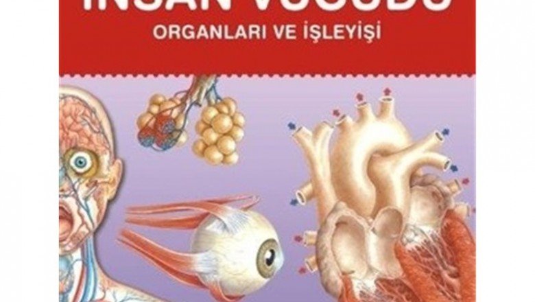 Temel Kavramlarla – İnsan Vücudu Organları ve İşleyişi