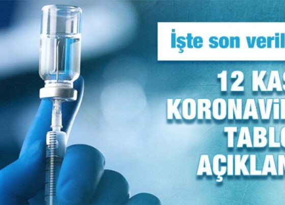 12 Kasım koronavirüs tablosu açıklandı! İşte son veriler…