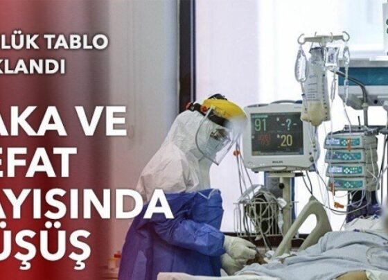 13 Kasım 2021 koronavirüs vaka haritası açıklandı