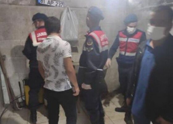 20 atı kesip, etlerini satan baba ve oğluna ceza
