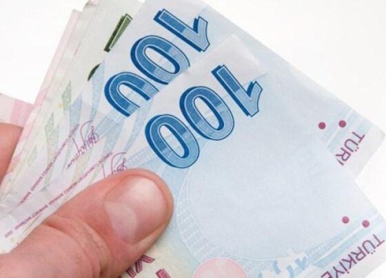 2022’de asgari ücret kaç lira olacak?