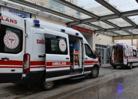 Adıyaman’da hafif ticari aracın çarptığı 2 kardeş yaralandı