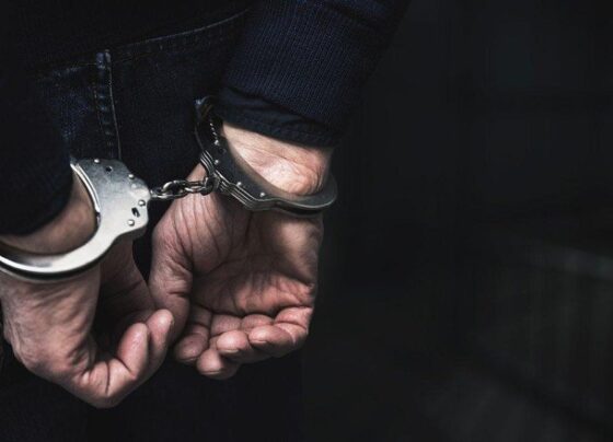 Aydın’da uyuşturucu operasyonunda 1 kişi tutuklandı