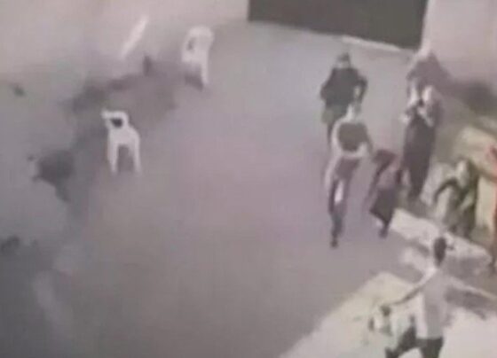 Aynı aileden 7 kişi katledilmişti: Olayla ilgili yeni gelişme