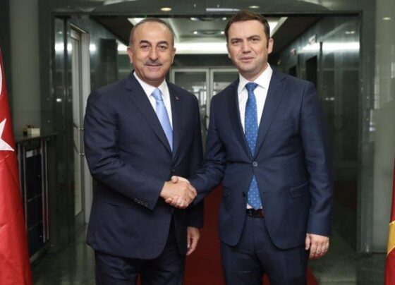 Bakan Çavuşoğlu Kuzey Makedonyalı mevkidaşı ile görüştü