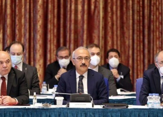 Bakan Elvan: Doğalgaz 100 liraya mal oluyor, 25 liraya veriyoruz