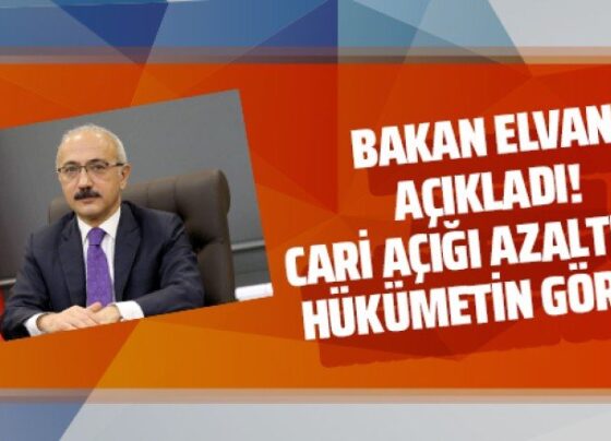 Bakan Elvan'dan cari açık açıklaması