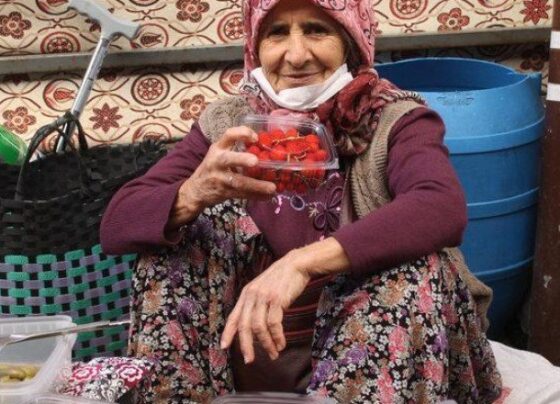 Bilenler şifası için bu çilek için sıraya giriyor: Ölümden başka her şeye faydalı