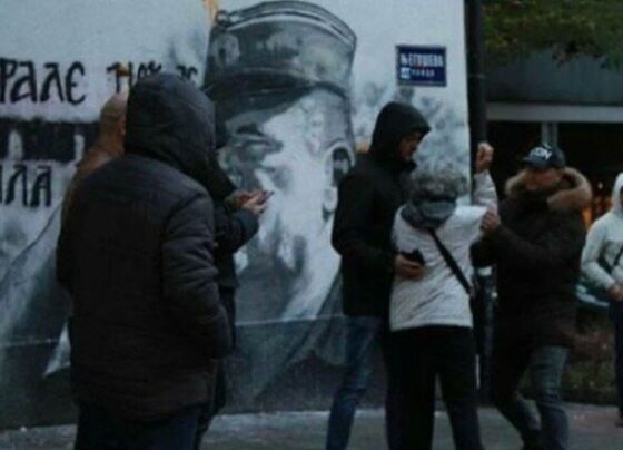 BM İnsan Hakları Yüksek Komiserliği: Belgrad’daki duvar resmi münferit bir olay değil