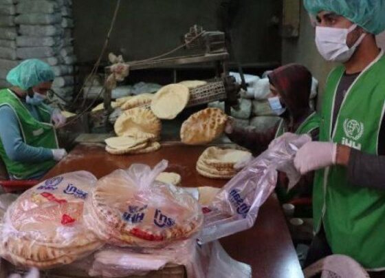 BM Suriye Sınır Ötesi Yardım Fonu ile İdlib’e  her gün 55 bin ekmek
