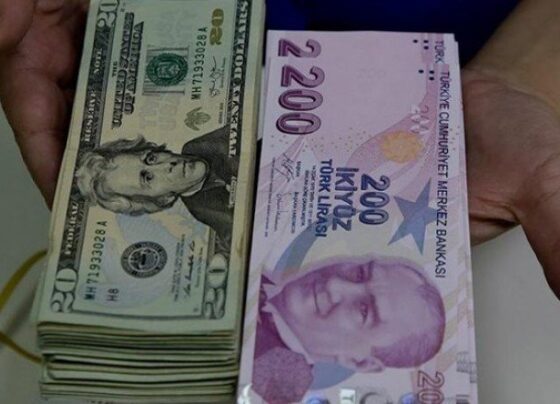 Bu akılla ülkenin sorunu çözülmez