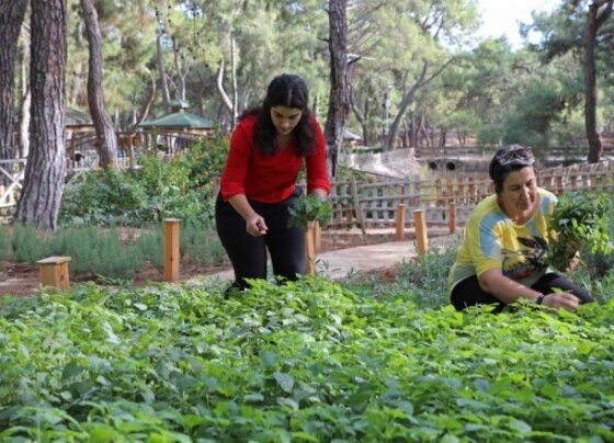 Büyükşehir’den aromatik bitkili ‘Koku Bahçesi’