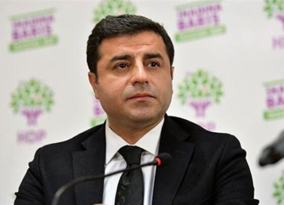 Demirtaş’tan ‘yüzde 50+1’ yorumu: Sorun oran değil, sistemin tamamı
