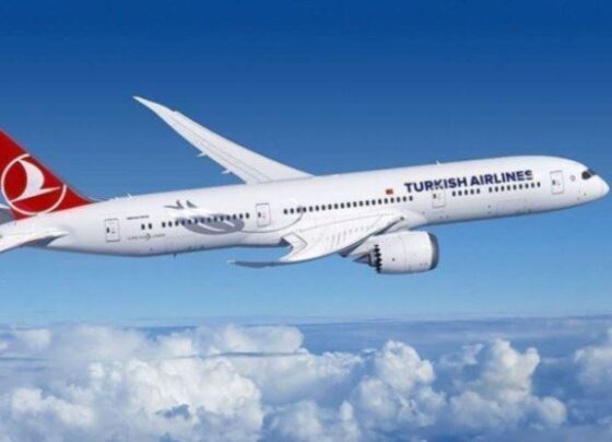 Die Welt AB’nin ‘gizli belgelerine’ dayandırdı: “Belavia-THY iş birliği” iddiası