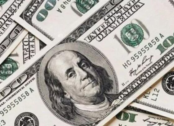 Dolar yeni haftaya rekor seviyede başladı