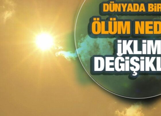 Dünyada bir ilk: Ölüm nedeni iklim değişikliği oldu