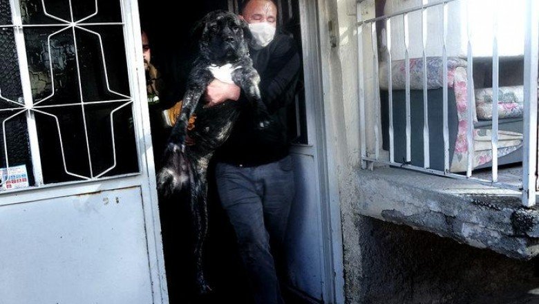 Evi yandı, köpeğini kurtarmak için dumanların arasında daldı