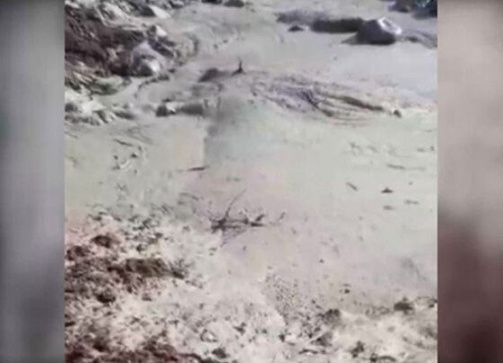 Felaketin asıl sorumluları bulunsun