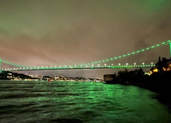 FSM Köprüsü yeşile büründü