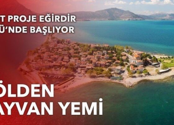 Göldeki makrofit hayvan yemine dönüşecek