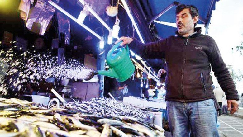 Hamsi sürüleri kuzeye gidiyor! Kilosu 10 TL’den 20 TL’ye çıktı