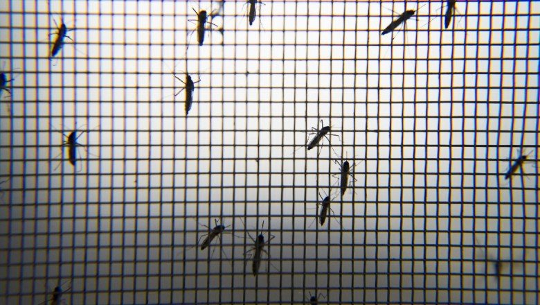 Hindistan’da Zika alarmı: 89 kişide tespit edildi