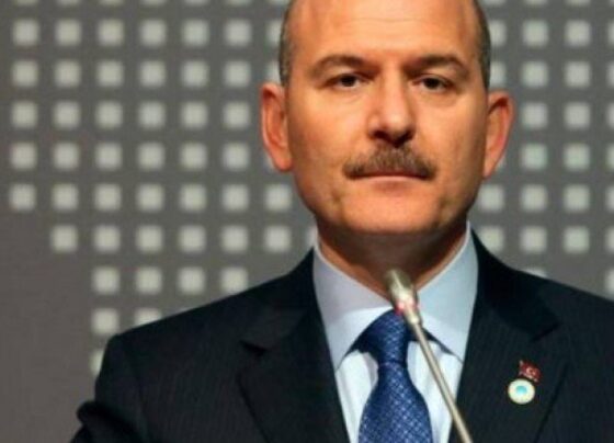 İçişleri Bakanı Süleyman Soylu: Eski Türkiye’ye dönemeyiz