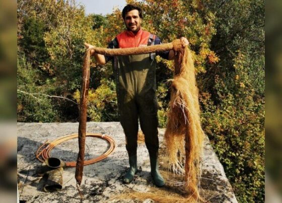 İçme suyu hattından 5 metrelik ağaç kökü çıktı