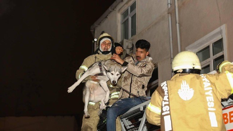İstanbul’da bina yangını: Mahsur kalan 3 kişi ve bir köpek kurtarıldı