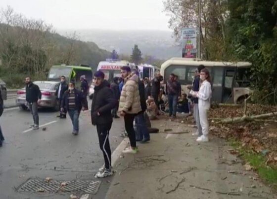 İstanbul’da yoldan çıkan minibüs ağaçlara çarptı: 12 yaralı