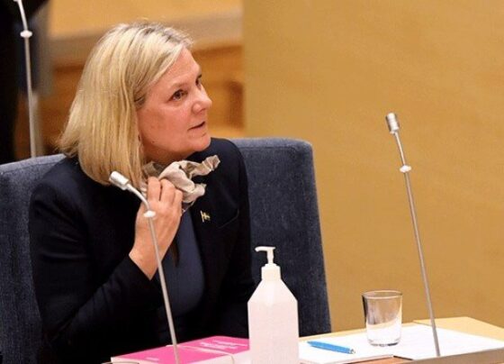 İsveç’te Magdalena Andersson ilk kadın başbakan olarak tarihe geçti