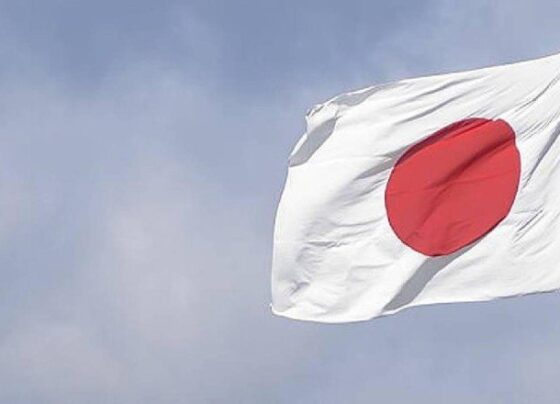 Japonya, Vietnam ile savunma iş birliğini artırıyor