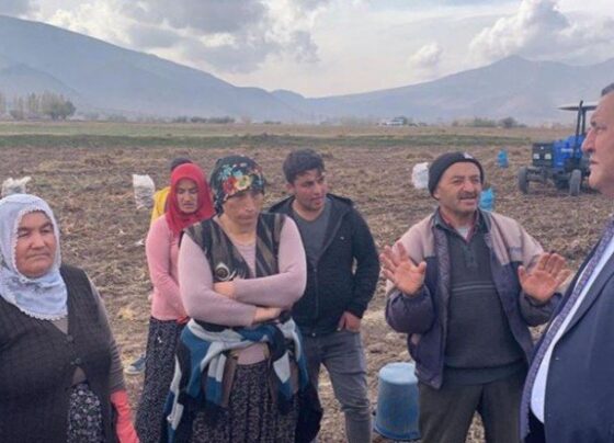 Kadın işçiler dert yandı: Kışın tezek kullanacaklar