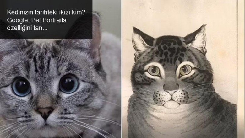 Kedinizin tarihteki ikizi kim? Google, Pet Portraits ile öğren