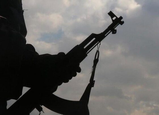 Kırmızı kategoride aranan Taşpınar etkisiz hale getirildi