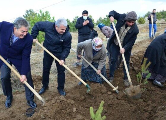 Kırşehir’de fidanlar toprakla buluşturuldu