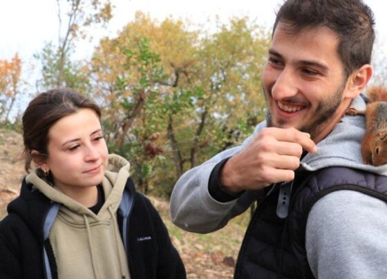 Kocaeli’de çiftin baktığı sevimli sincap doğal ortamına bırakılacak