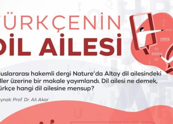 Kök dilden türeyen diller: Türkçe ilk kez ne zaman konuşuldu?