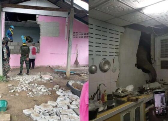 Korkunç gürültüye indiğinde şoke oldu: 15 dakika boyunca sürdü